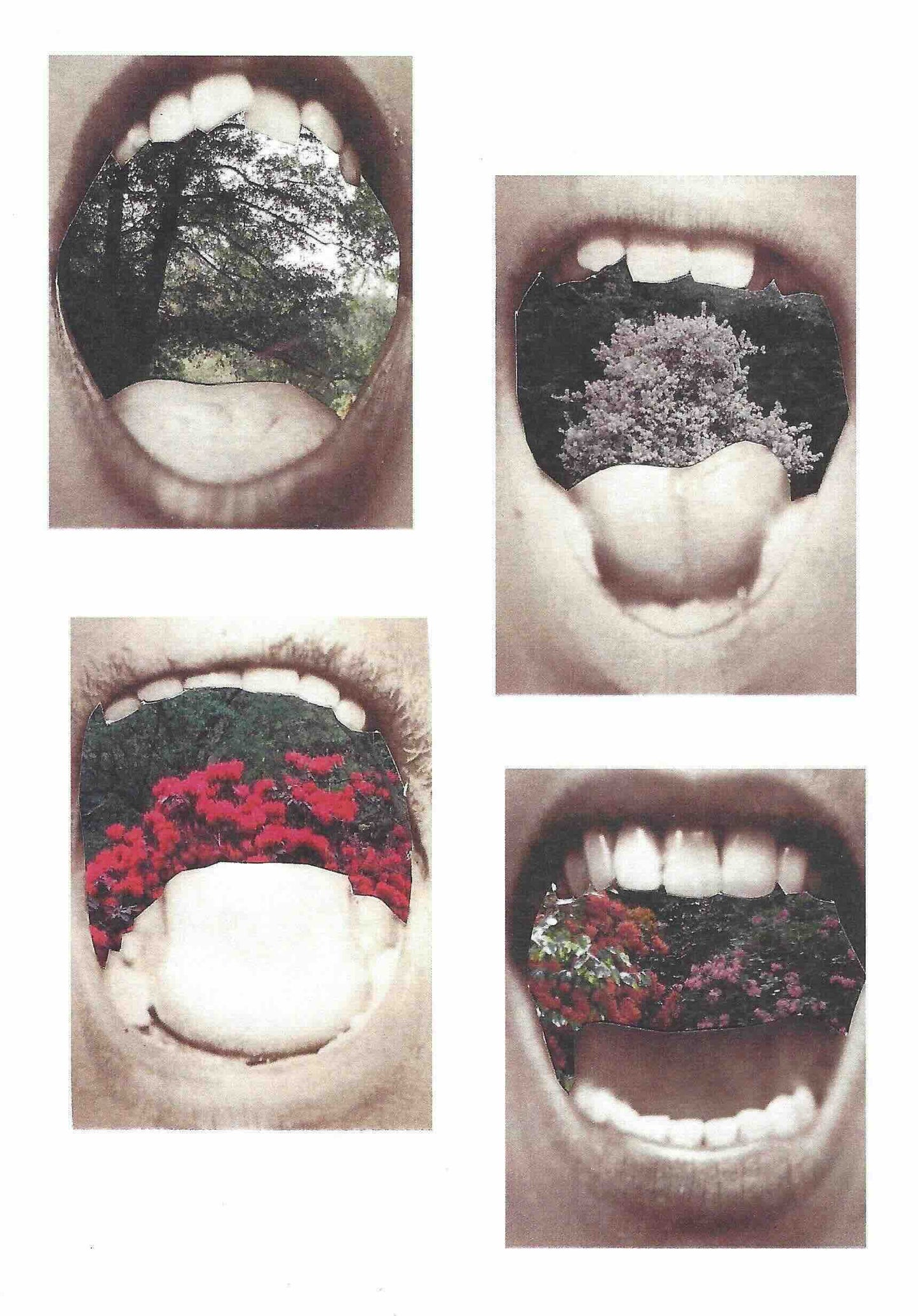 Affiche Critical Disco. Collage 002. Cris des fleurs.