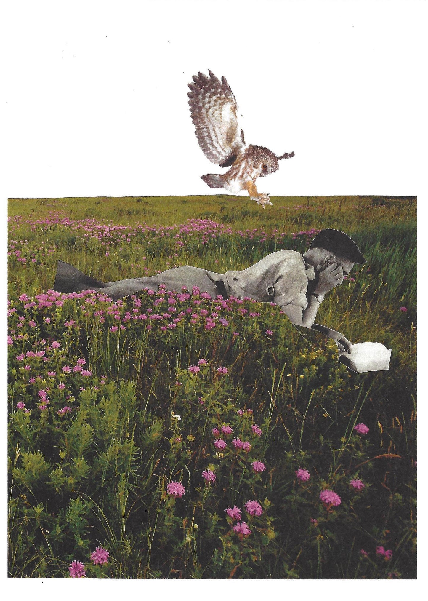 Affiche Critical Disco. Collage 007. Lecture en nature.